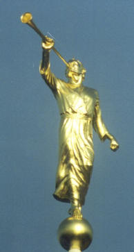 Angel Maroni